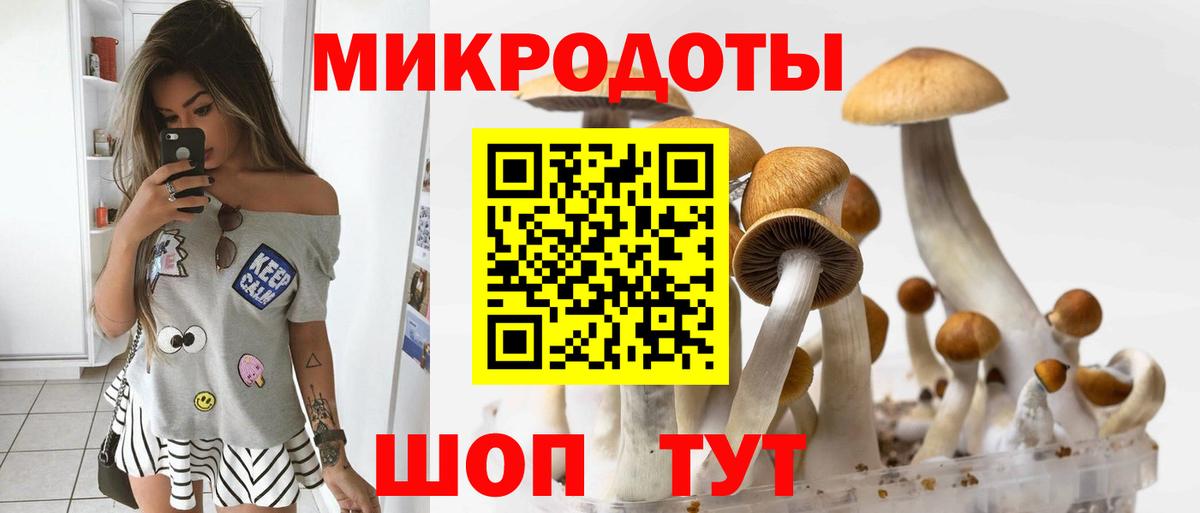 Галлюциногенные грибы Cubensis Белебей