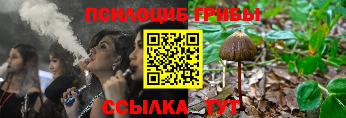 магазин продажи наркотиков  Вход с VPN  Белебей  Галлюциногенные грибы мицелий 